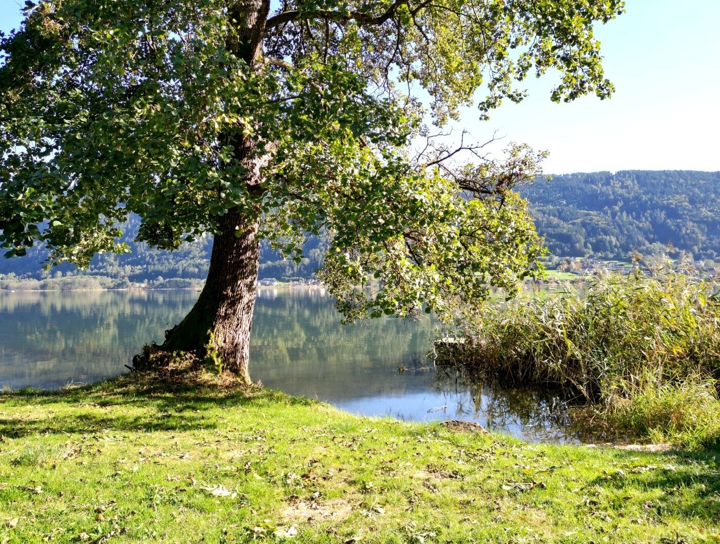 Projektfoto